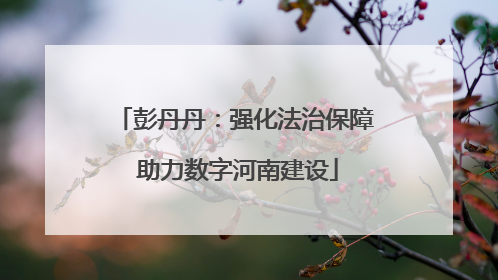 彭丹丹：强化法治保障 助力数字河南建设