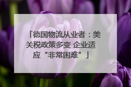 德国物流从业者：美关税政策多变 企业适应“非常困难”