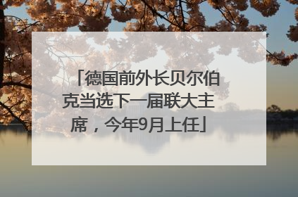 德国前外长贝尔伯克当选下一届联大主席，今年9月上任