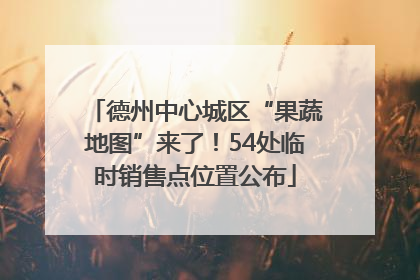 德州中心城区“果蔬地图”来了！54处临时销售点位置公布