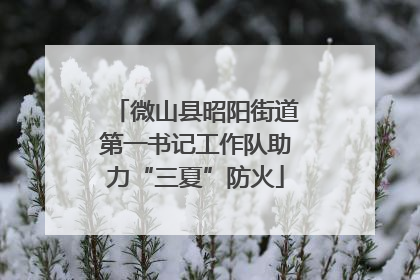 微山县昭阳街道第一书记工作队助力“三夏”防火