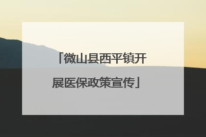 微山县西平镇开展医保政策宣传