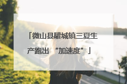 微山县驩城镇三夏生产跑出 “加速度”