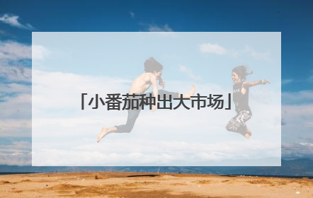 小番茄种出大市场