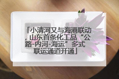 小清河又与海港联动，山东首条化工品“公路-内河-海运”多式联运通道开通