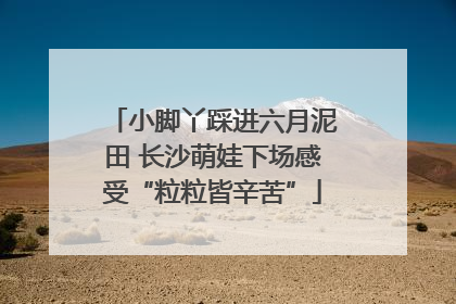 小脚丫踩进六月泥田 长沙萌娃下场感受“粒粒皆辛苦”
