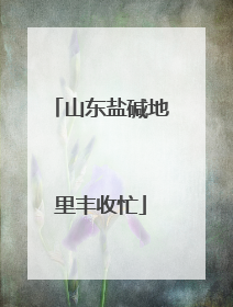 山东盐碱地里丰收忙