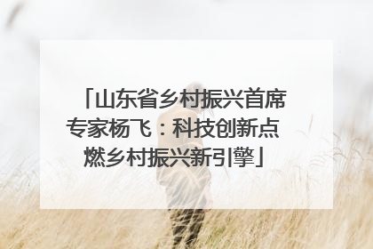 山东省乡村振兴首席专家杨飞：科技创新点燃乡村振兴新引擎