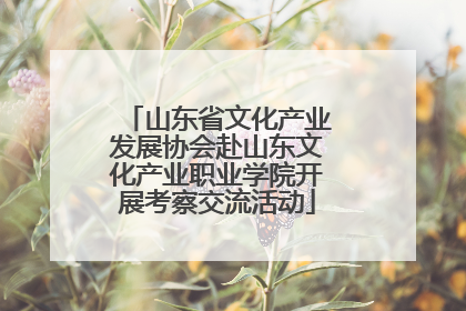 山东省文化产业发展协会赴山东文化产业职业学院开展考察交流活动