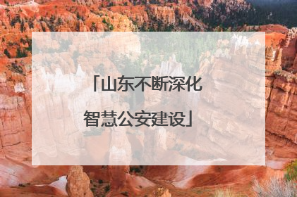 山东不断深化智慧公安建设