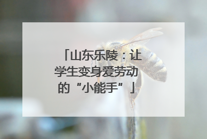 山东乐陵：让学生变身爱劳动的“小能手”