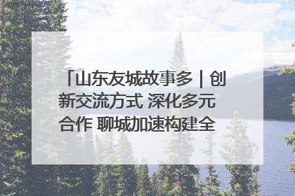 山东友城故事多｜创新交流方式 深化多元合作 聊城加速构建全球友城新格局