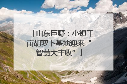 山东巨野：小镇千亩胡萝卜基地迎来“智慧大丰收”
