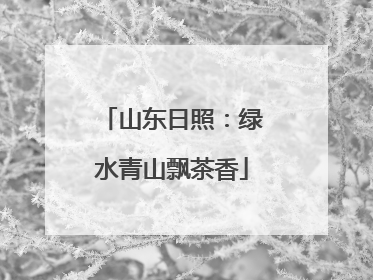 山东日照：绿水青山飘茶香