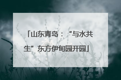 山东青岛：“与水共生”东方伊甸园开园