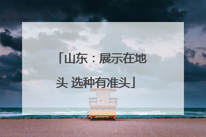 山东：展示在地头 选种有准头