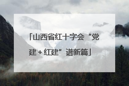 山西省红十字会“党建＋红建”谱新篇