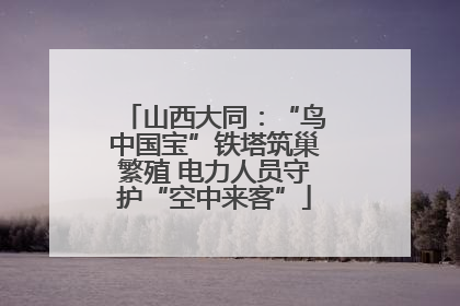 山西大同：“鸟中国宝”铁塔筑巢繁殖 电力人员守护“空中来客”