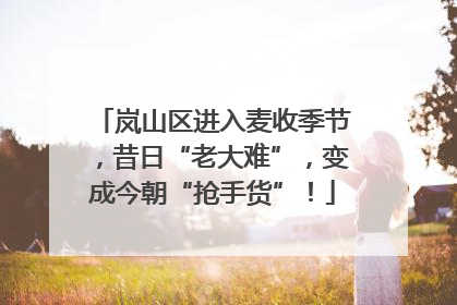 岚山区进入麦收季节，昔日“老大难”，变成今朝“抢手货”！