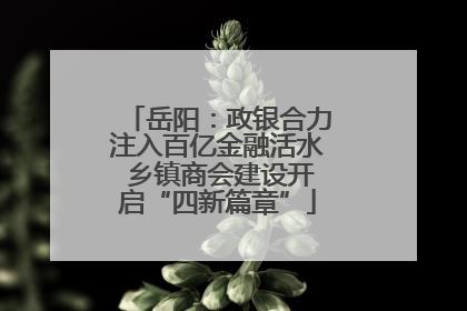 岳阳：政银合力注入百亿金融活水 乡镇商会建设开启“四新篇章”