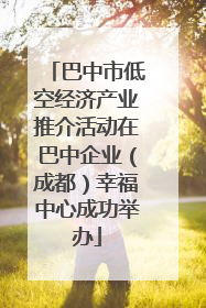 巴中市低空经济产业推介活动在巴中企业（成都）幸福中心成功举办