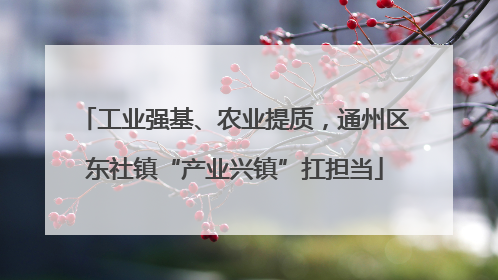 工业强基、农业提质，通州区东社镇“产业兴镇”扛担当