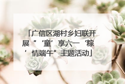 广信区湖村乡妇联开展“‘童’享六一‘粽’情端午”主题活动