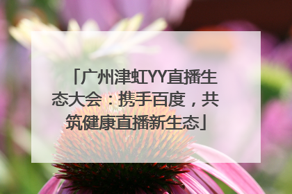 广州津虹YY直播生态大会：携手百度，共筑健康直播新生态
