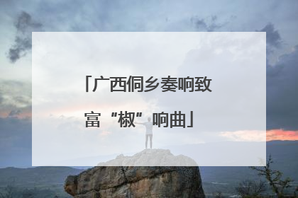 广西侗乡奏响致富“椒”响曲