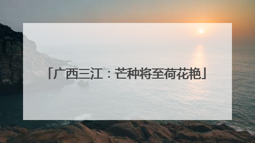 广西三江：芒种将至荷花艳