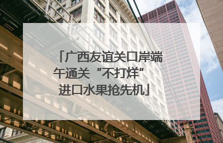 广西友谊关口岸端午通关“不打烊” 进口水果抢先机