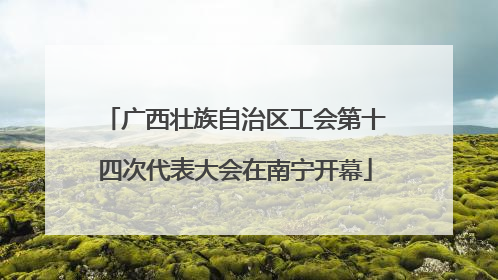 广西壮族自治区工会第十四次代表大会在南宁开幕