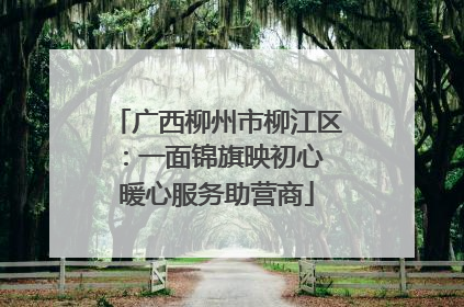 广西柳州市柳江区：一面锦旗映初心 暖心服务助营商