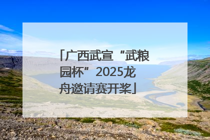 广西武宣“武粮园杯”2025龙舟邀请赛开桨
