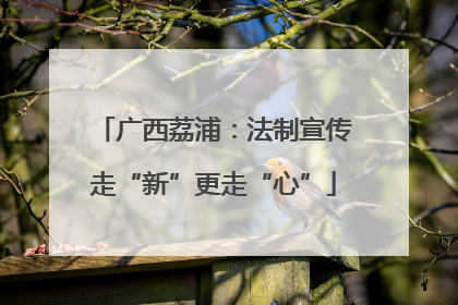 广西荔浦：法制宣传走“新”更走“心”