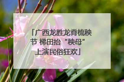 广西龙胜龙脊梳秧节 梯田抬“秧母”上演民俗狂欢