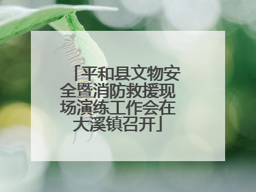平和县文物安全暨消防救援现场演练工作会在大溪镇召开