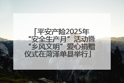 平安产险2025年“安全生产月”活动暨“乡风文明”爱心捐赠仪式在菏泽单县举行