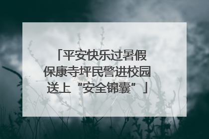 平安快乐过暑假 保康寺坪民警进校园送上“安全锦囊”