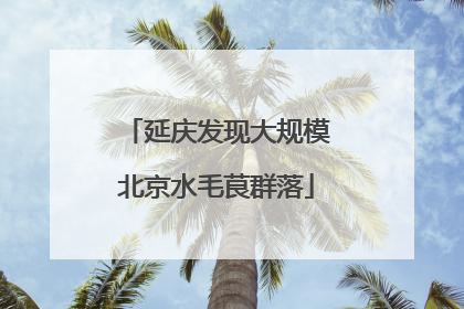 延庆发现大规模北京水毛茛群落