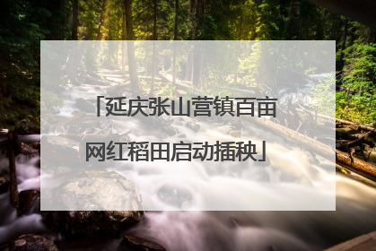 延庆张山营镇百亩网红稻田启动插秧