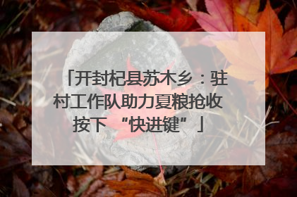 开封杞县苏木乡：驻村工作队助力夏粮抢收按下 “快进键”
