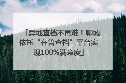 异地查档不再难！聊城依托“在鲁查档”平台实现100%满意度