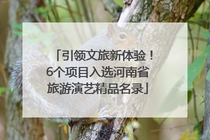 引领文旅新体验！6个项目入选河南省旅游演艺精品名录