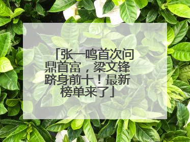 张一鸣首次问鼎首富，梁文锋跻身前十！最新榜单来了