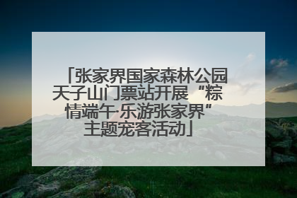 张家界国家森林公园天子山门票站开展“粽情端午·乐游张家界”主题宠客活动