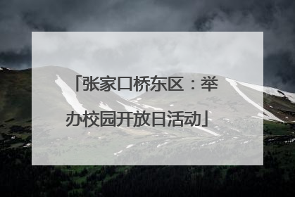 张家口桥东区：举办校园开放日活动