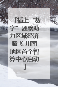 插上“数字”翅膀助力区域经济腾飞 川南地区首个智算中心启动