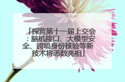 探营第十一届上交会：脑机接口、大模型安全、跨境身份核验等新技术将悉数亮相