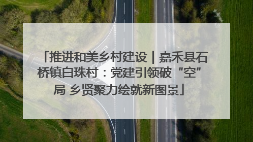 推进和美乡村建设｜嘉禾县石桥镇白珠村：党建引领破“空”局 乡贤聚力绘就新图景